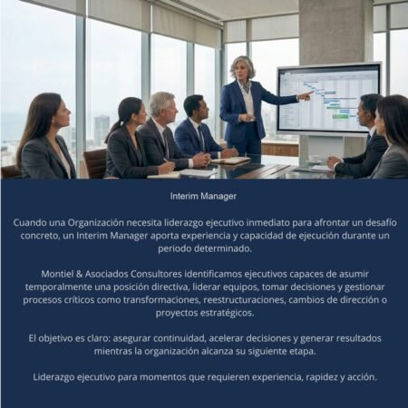 Interim Manager (2)